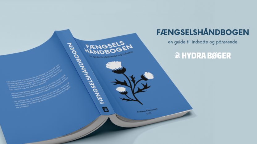 Fængselshåndbogen: En bog med yderst relevante oplysninger om alt fra anholdelse til løsladelse