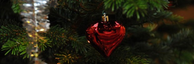 Glædelig jul og godt nytår!